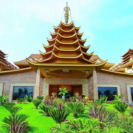 Royal Dragon Side